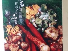 -菌之家·专业纯野生菌火锅·特色炒菌