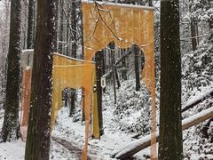 -波尔登森林公园
