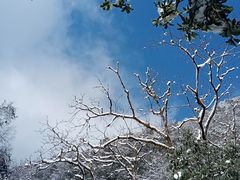 -西岭雪山大飞水景区