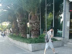 -复旦大学本部-食堂