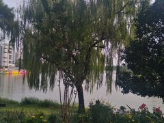 -美兰湖景区