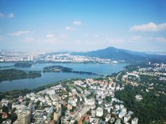 -紫峰大厦