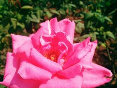 -人民公园(罗湖区)