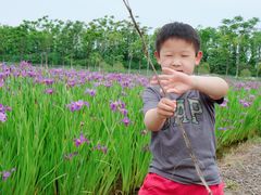 -上海长兴岛郊野公园