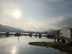 -盐洲岛