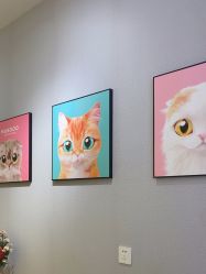 -洗脸猫·洗脸吧