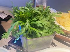 -芸山季·云南野生菌火锅(宝能环球汇店)