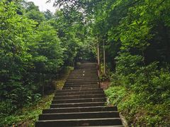 -凤栖山