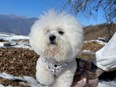 -太子岭滑雪场