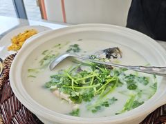 -紫藤园·天目湖大鱼头(南山竹海店)