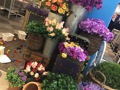 -Aqua Oasis 水天堂(相城天虹商场店)