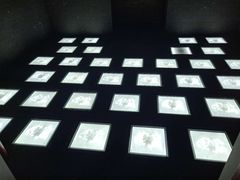 -MOJO密室逃脱(中街旗舰店)