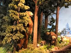 -陕西自然博物馆