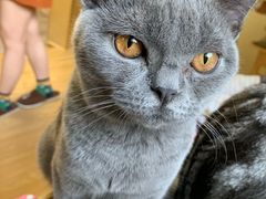 -猫和宫(六道口店)