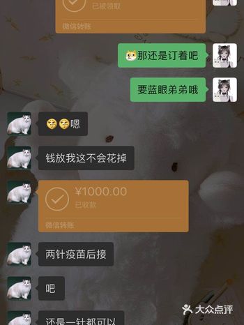 江苏常州常宠窝宠物店，欺骗我们学生消费者1w+