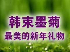 后海16号-后海16号·北京私房菜