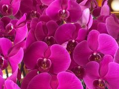 -栾氏荟(柳园店)