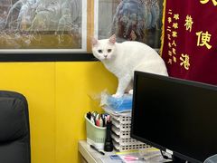 -瑞派·爱瑞可动物医院·口腔专科(广华新城分院)