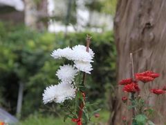 iphone_upload_pic-锦屏公园