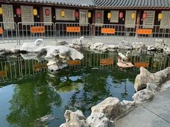 -龙华素斋(龙华路店)