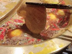 空运毛肚-黄门火锅(梦时代店)