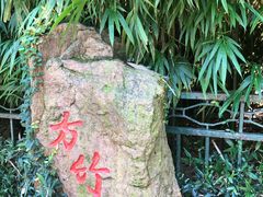 -杭州黄龙洞