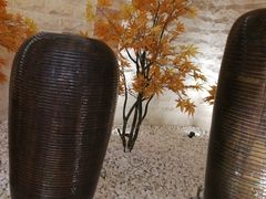 -汤里来温泉
