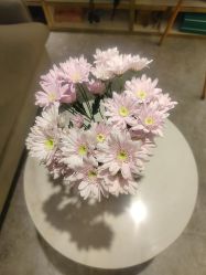 -MIDA蜜哒•科技逆龄美肤连锁