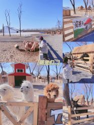 -Oasis Beauty水磨坊科技美肤中心