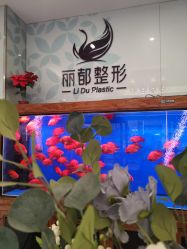 -丽都整形美容医院·全国连锁旗舰店
