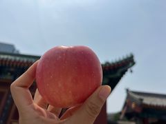 -天津大悲禅院