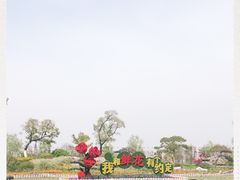 -南通鲜花小镇