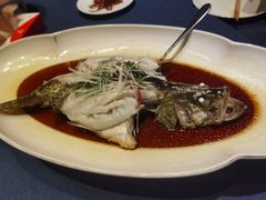 -金狮麟·新豫菜(金码大厦店)