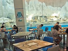 -帝企鹅自助餐厅•儿童岛•真企鹅(长隆企鹅酒店)