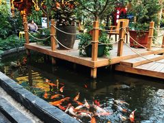 -凯德广场(学府店)