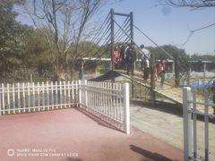 -苏州太湖西山岛开心农场