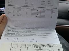 -乐派堂宠物医院·猫友好· 心脏科(东街店)