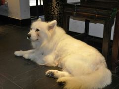 android_upload_pic-西塘明榉坊客栈