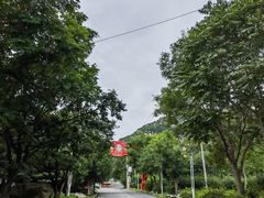 -北京凤凰岭
