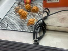 -莫朗核桃饼(虹泉路店)