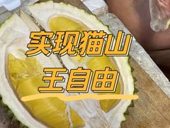 -油麻地果栏