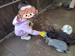 -哈尔滨波塞冬海底世界