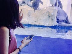 -华夏文旅海洋公园