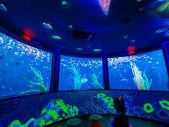 -沈阳海洋探索中心