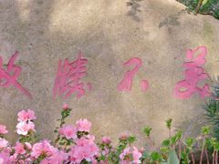 -上海鲜花港