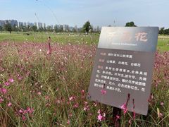 -汉长安城未央宫国家考古遗址公园