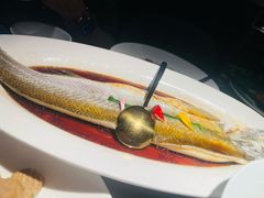 清蒸白水鱼-醉庐·新上海菜(南京西路店)