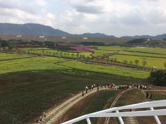 -光明小镇欢乐田园