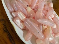 鲮鱼泡-章记正宗南岗鱼蛋火锅