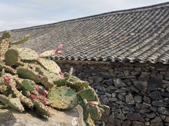 -许家山
